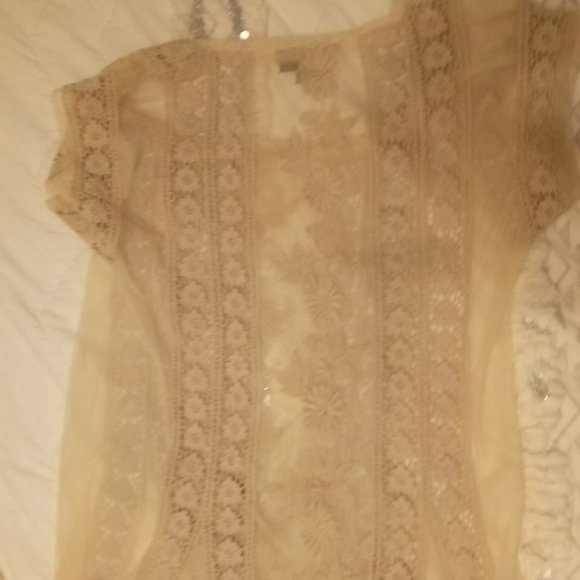 Gorgeous Topshop cream lace dress - Picture 3 of 4